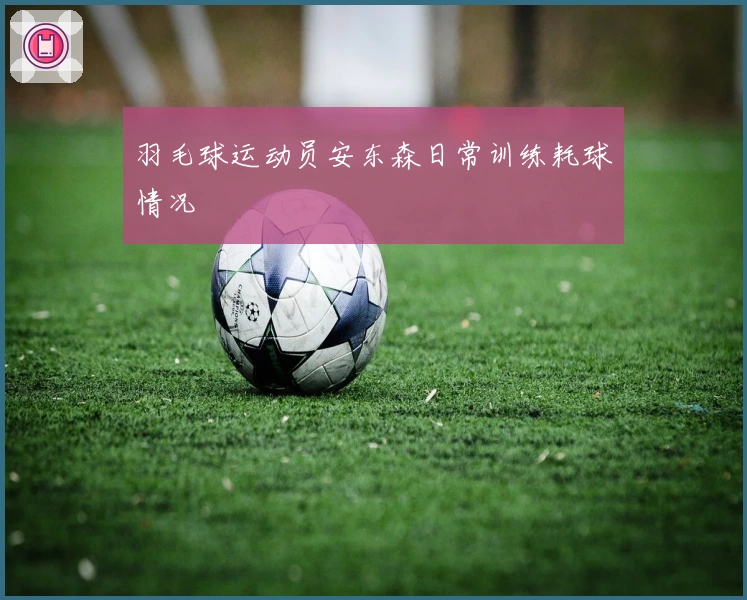 羽毛球运动员安东森日常训练耗球情况