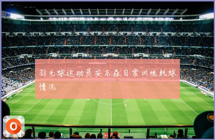 羽毛球运动员安东森日常训练耗球情况