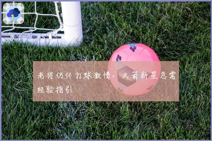 老将仍怀打球激情，火箭新星急需经验指引